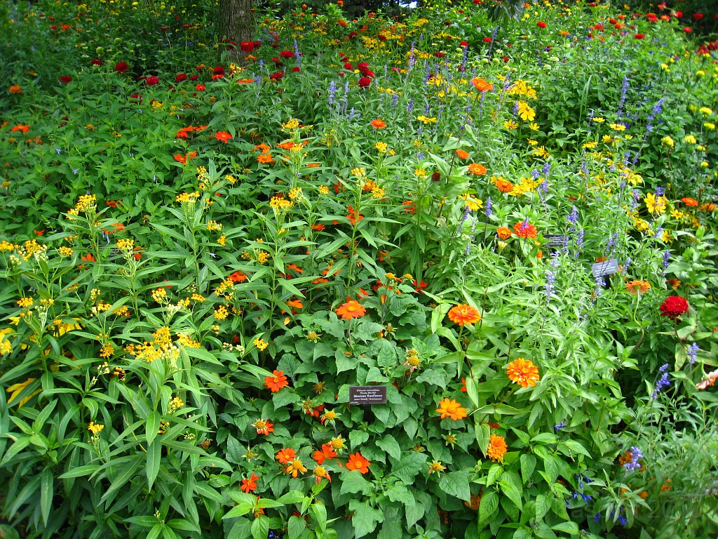 Botanical Gardens 2010 0320.jpg - The Chicago Botanic Gardens. Wear comfortable shoes, and be prepared to enjoy the landscape for a day.